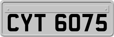 CYT6075
