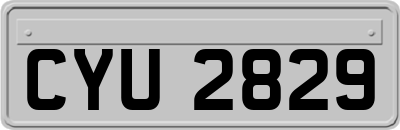 CYU2829