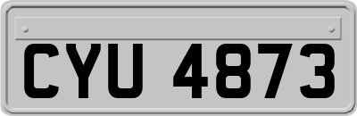 CYU4873