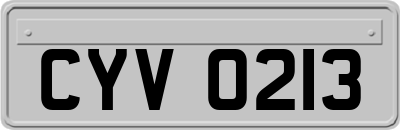 CYV0213