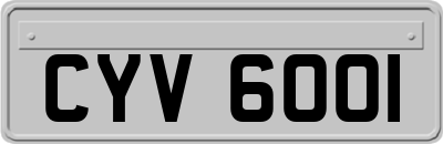 CYV6001