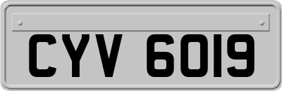 CYV6019