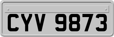 CYV9873