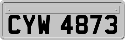 CYW4873