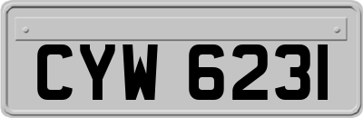 CYW6231