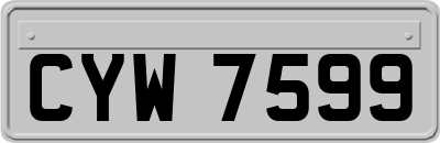 CYW7599