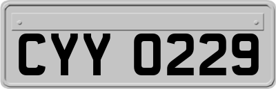CYY0229