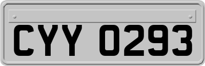 CYY0293