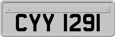CYY1291