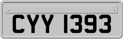 CYY1393