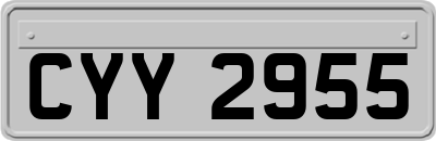 CYY2955