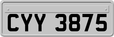 CYY3875