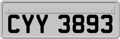 CYY3893