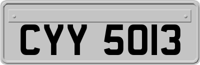 CYY5013