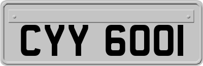 CYY6001