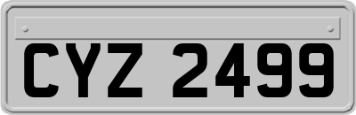 CYZ2499
