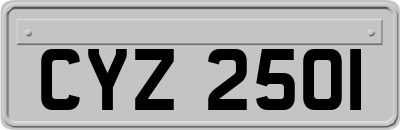 CYZ2501