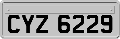 CYZ6229