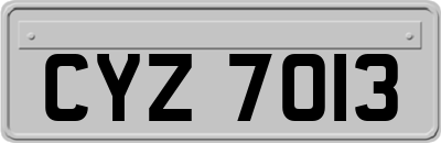 CYZ7013