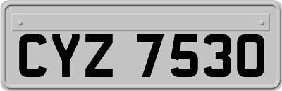 CYZ7530