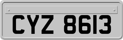 CYZ8613