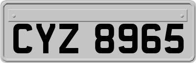 CYZ8965