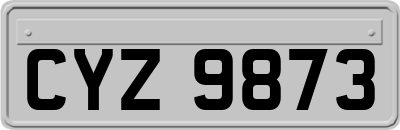 CYZ9873