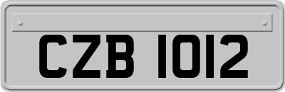 CZB1012