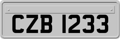 CZB1233