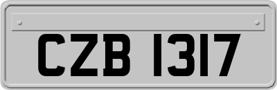 CZB1317