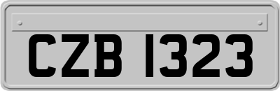 CZB1323