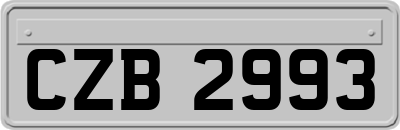 CZB2993