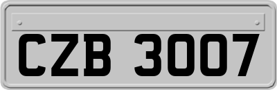 CZB3007