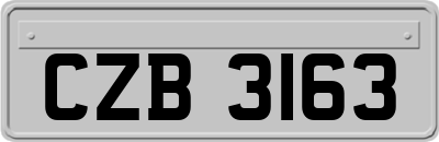 CZB3163