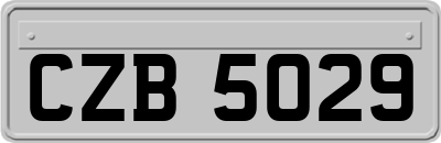 CZB5029