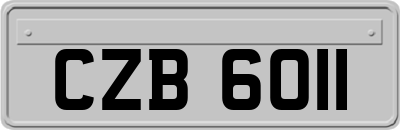 CZB6011