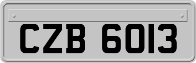 CZB6013