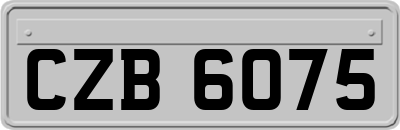 CZB6075