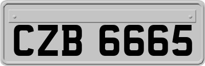 CZB6665
