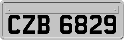 CZB6829