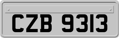CZB9313