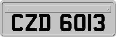 CZD6013