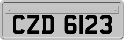 CZD6123