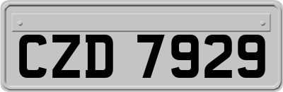 CZD7929