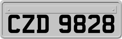 CZD9828