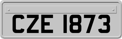 CZE1873