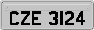 CZE3124