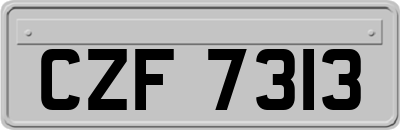 CZF7313