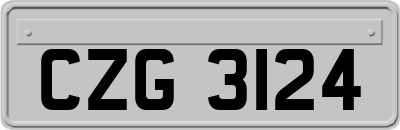 CZG3124