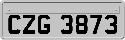 CZG3873